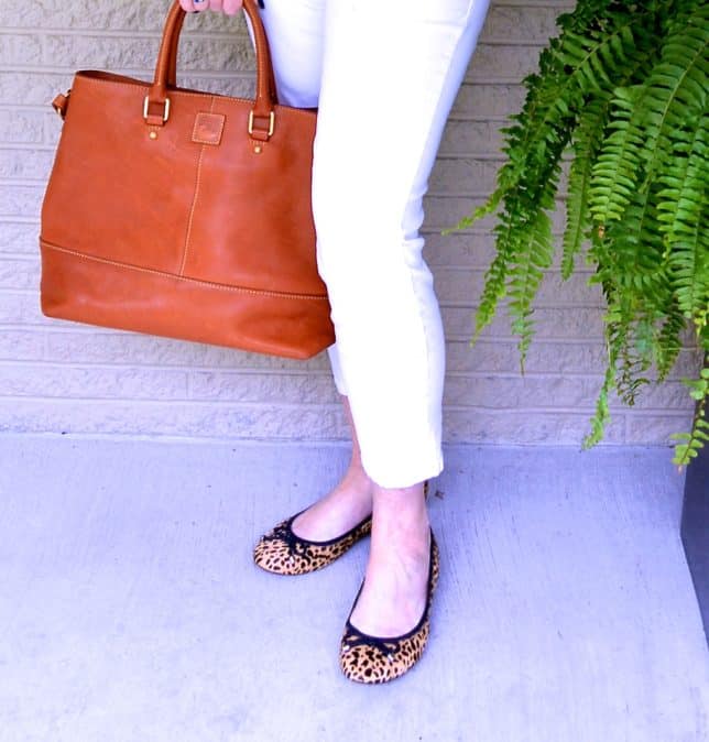 50 Is Not Old | tortoise & hare