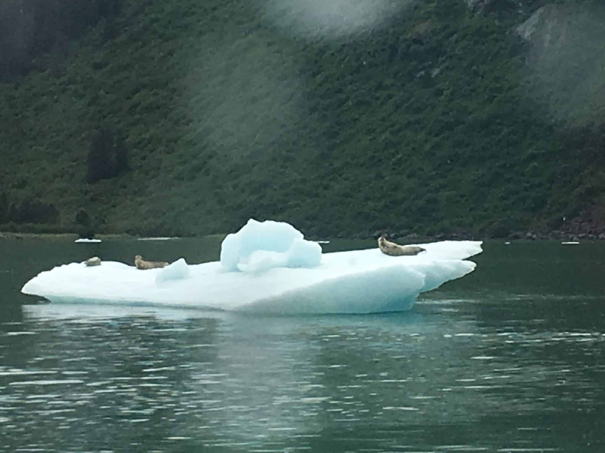 50 IS NOT OLD |  WHAT TO WEAR IN ALASKA