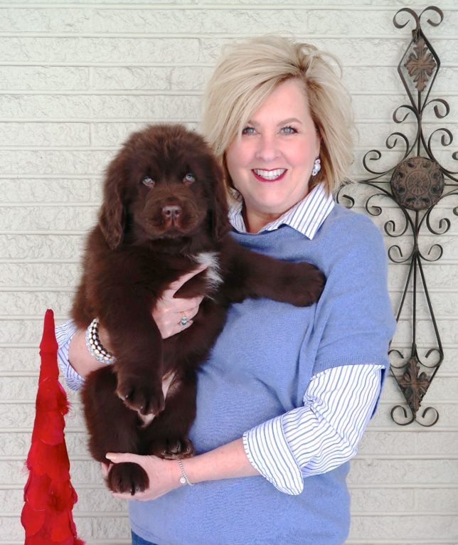 Fashion Blogger 50 Is Not Old is holding a Newfoundland puppy