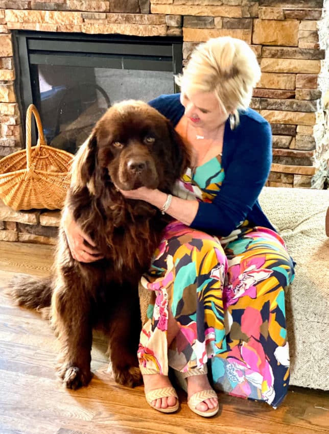 Fashion Blogger 50 Is Not Old is petting a large Newfoundland dog