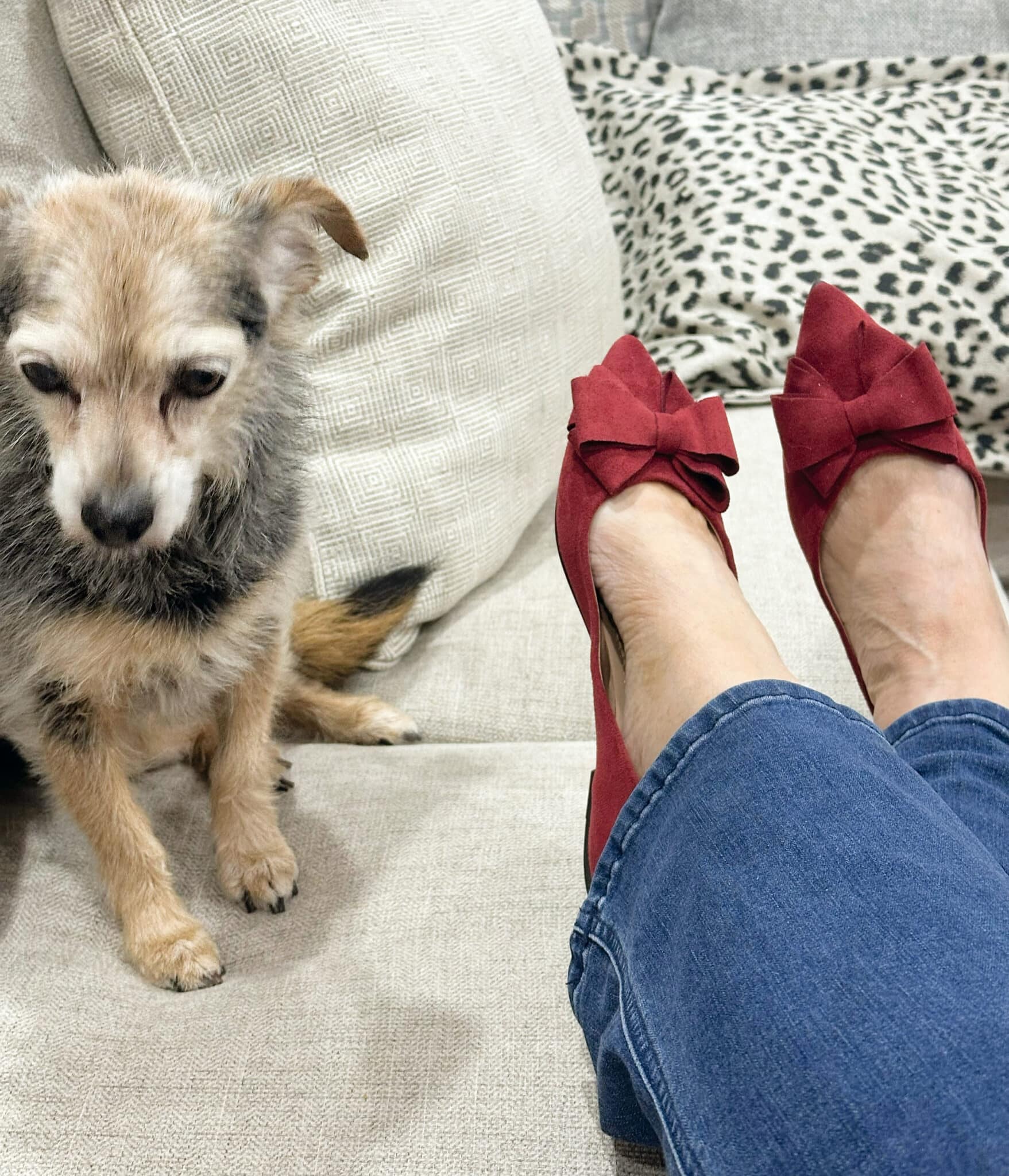 Burgundy Shoes