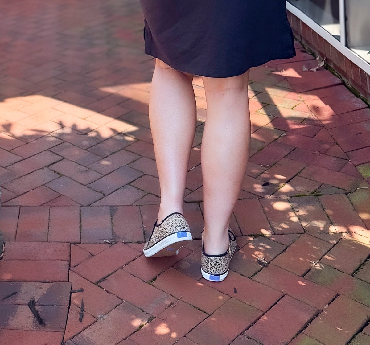 The back of Keds Champion Calf Hair Lace Up