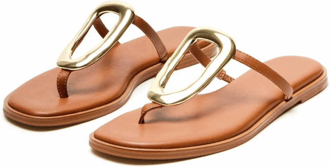 Wnshonzy Flip-Flops for Women Thong Sandals for maxi dresses