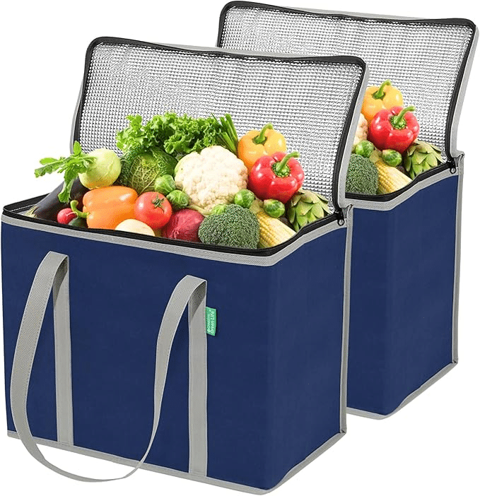 Creative Green Life XL Insulated Reusable Grocery Bags (2-Pack)