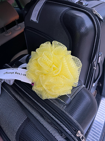 What I Took On My First Cruise, And What I Should Have Left Behind bath pouf