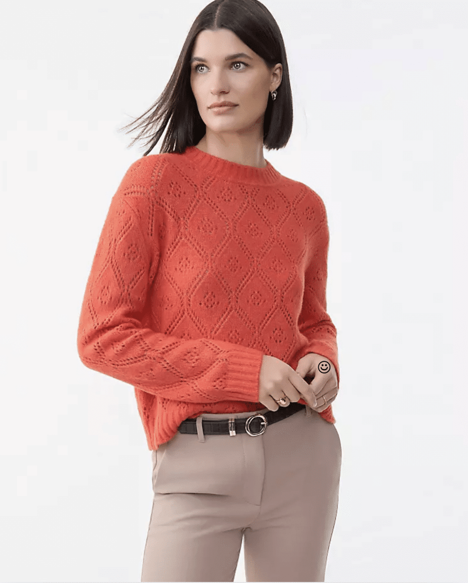 Ann Taylor Pointelle Crew Neck Sweater