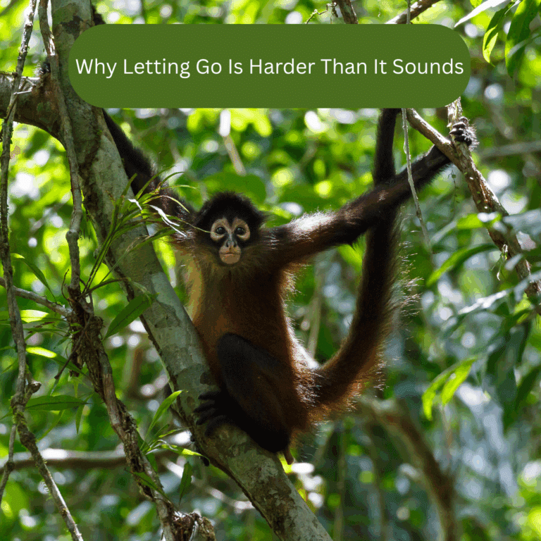 Why Letting Go Is Harder Than It Sounds